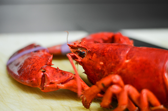 Da Dino Ristorante di pesce fresco a Torino