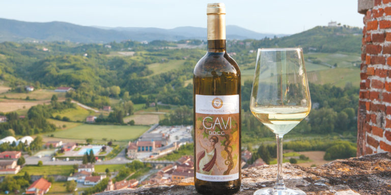 Etichetta di vino Gavi con vista su colline