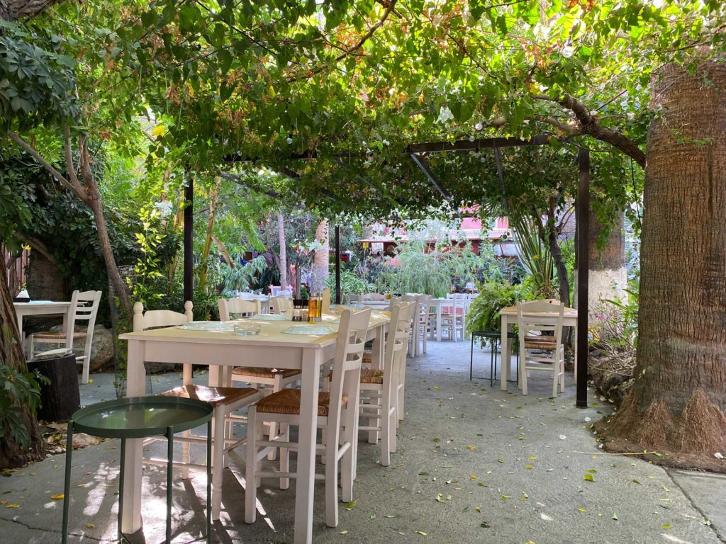 Ristorante con giardino estivo e pergolato di uva fragola -cena romantica - ristorante per eventi a Torino