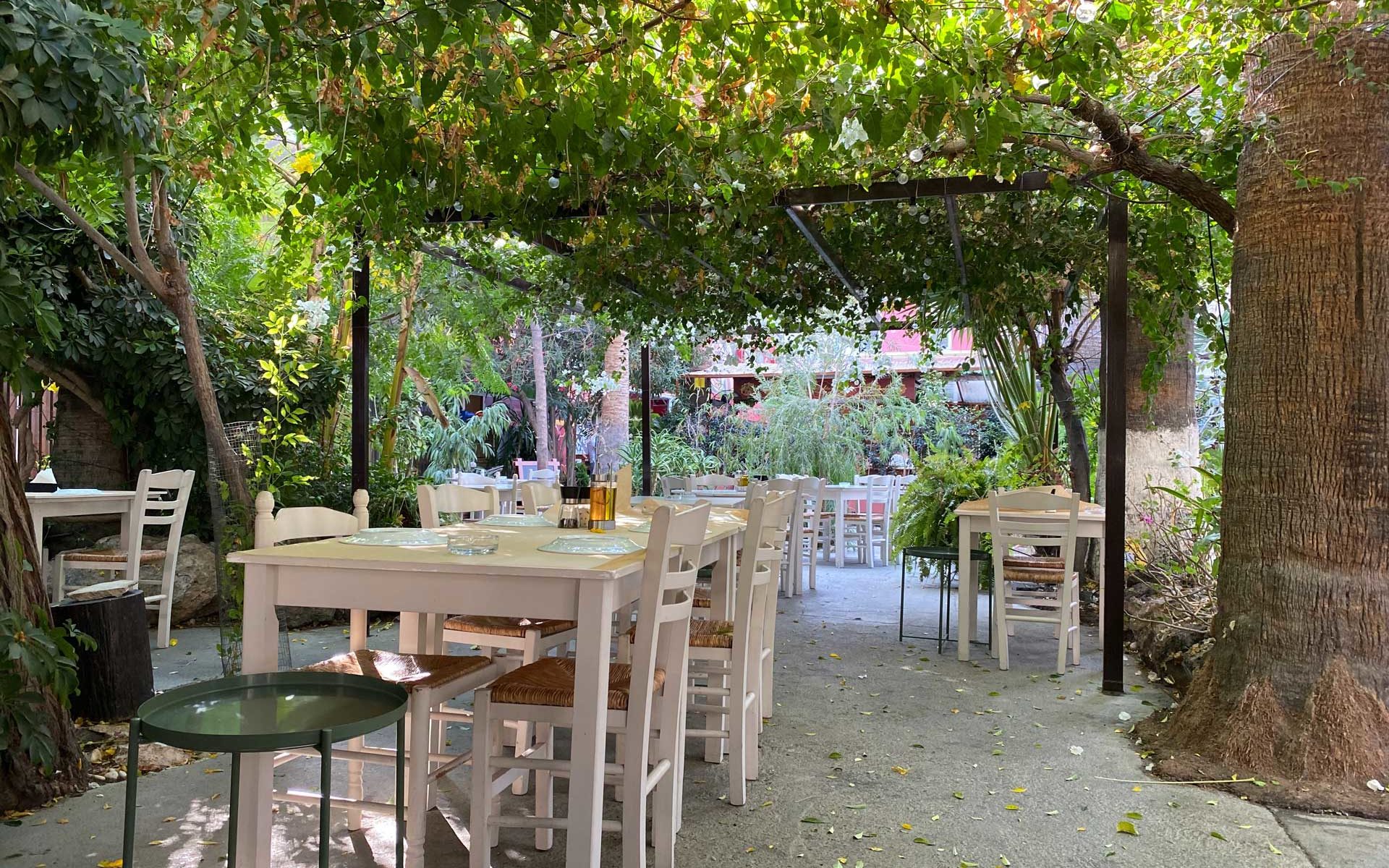 Ristorante con giardino estivo e pergolato di uva fragola -cena romantica - ristorante per eventi a Torino
