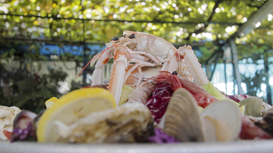 Da Dino Ristorante di pesce fresco a Torino
