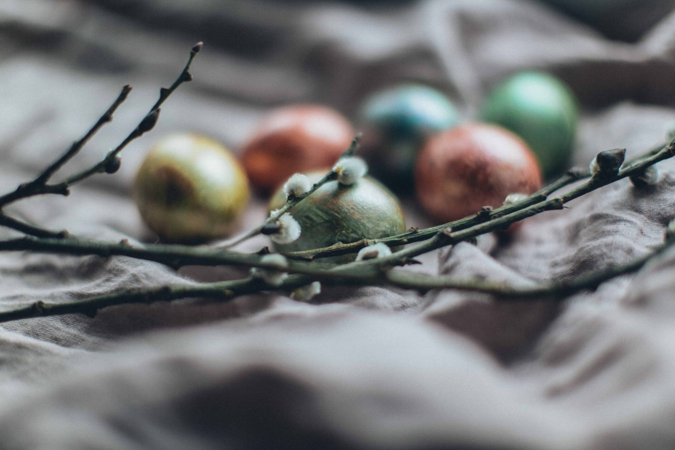 Ottimo pranzo di Pasqua