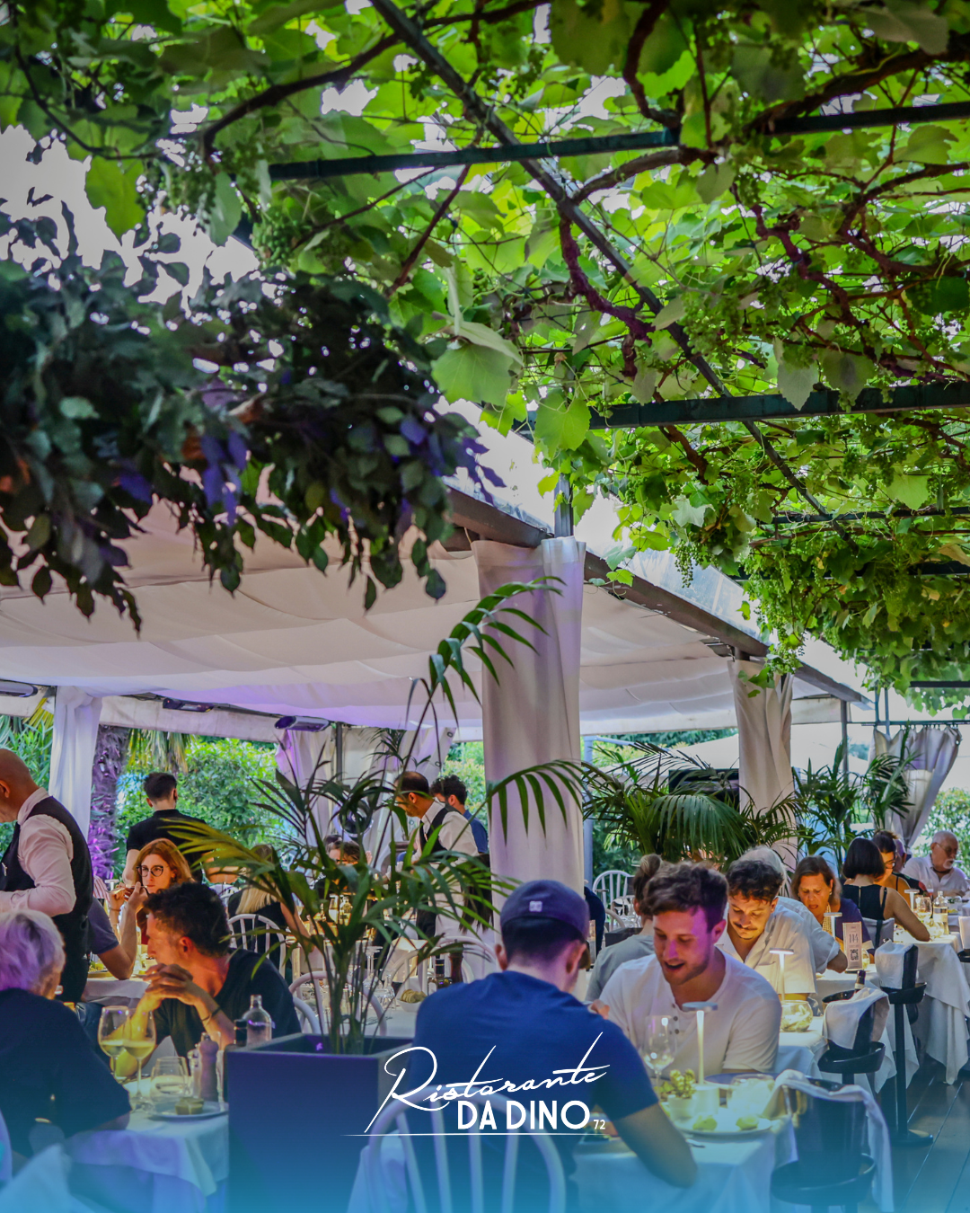 torino_ristorante_da_dino1